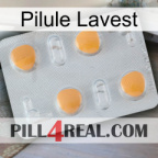 Lavest Pill 24